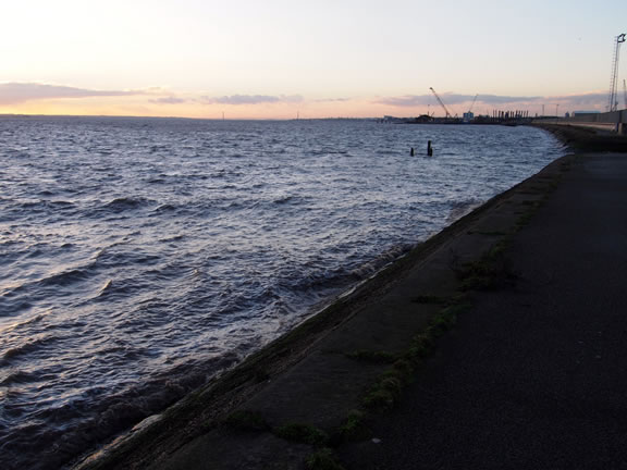 Alexandra Dock, Hull